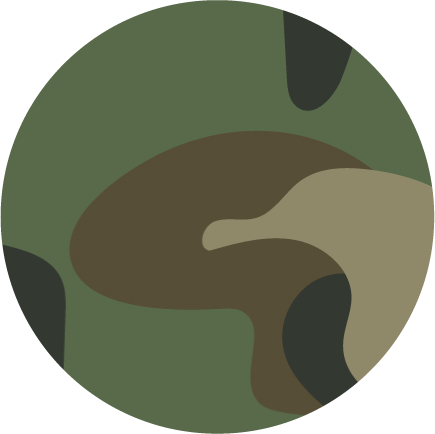 A camo pattern circle color vector icon